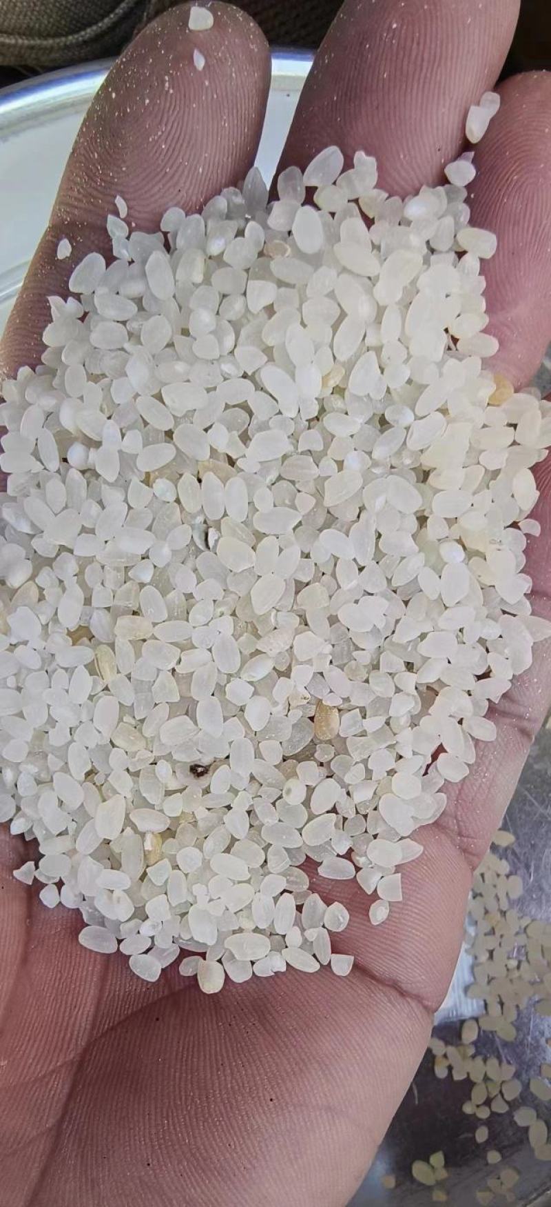 陈米欢迎来电咨询