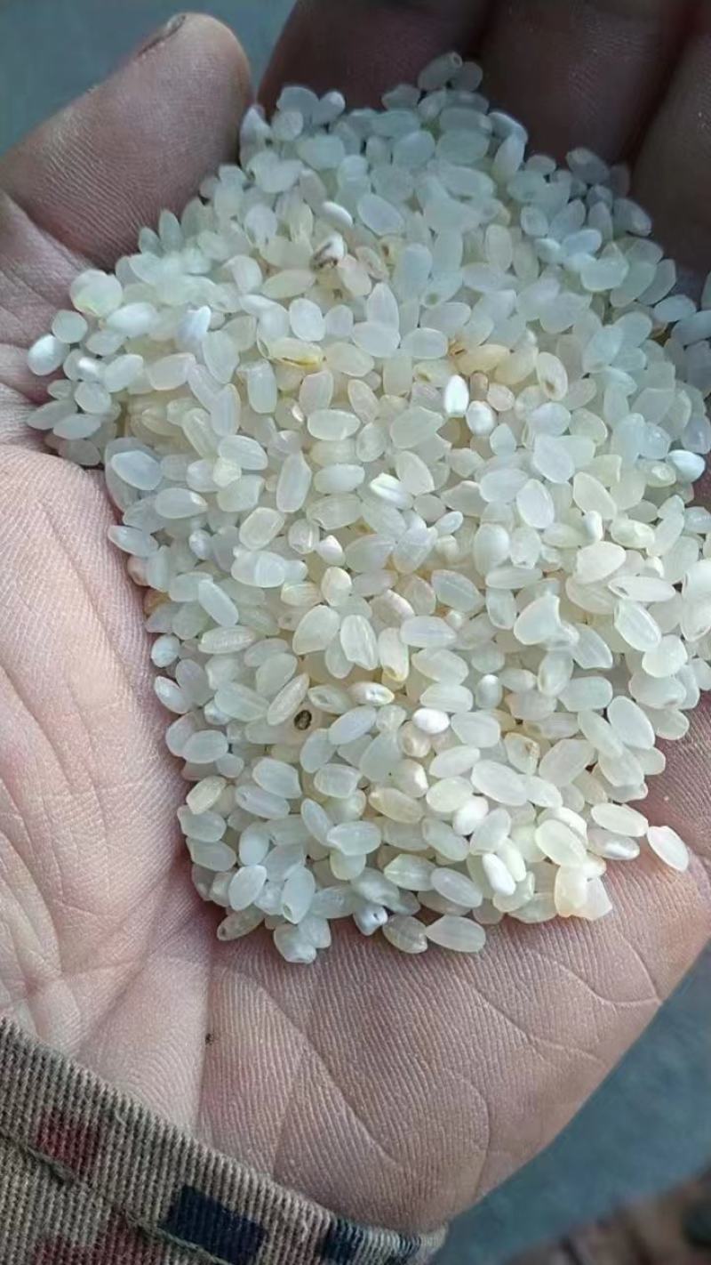 陈米欢迎来电咨询