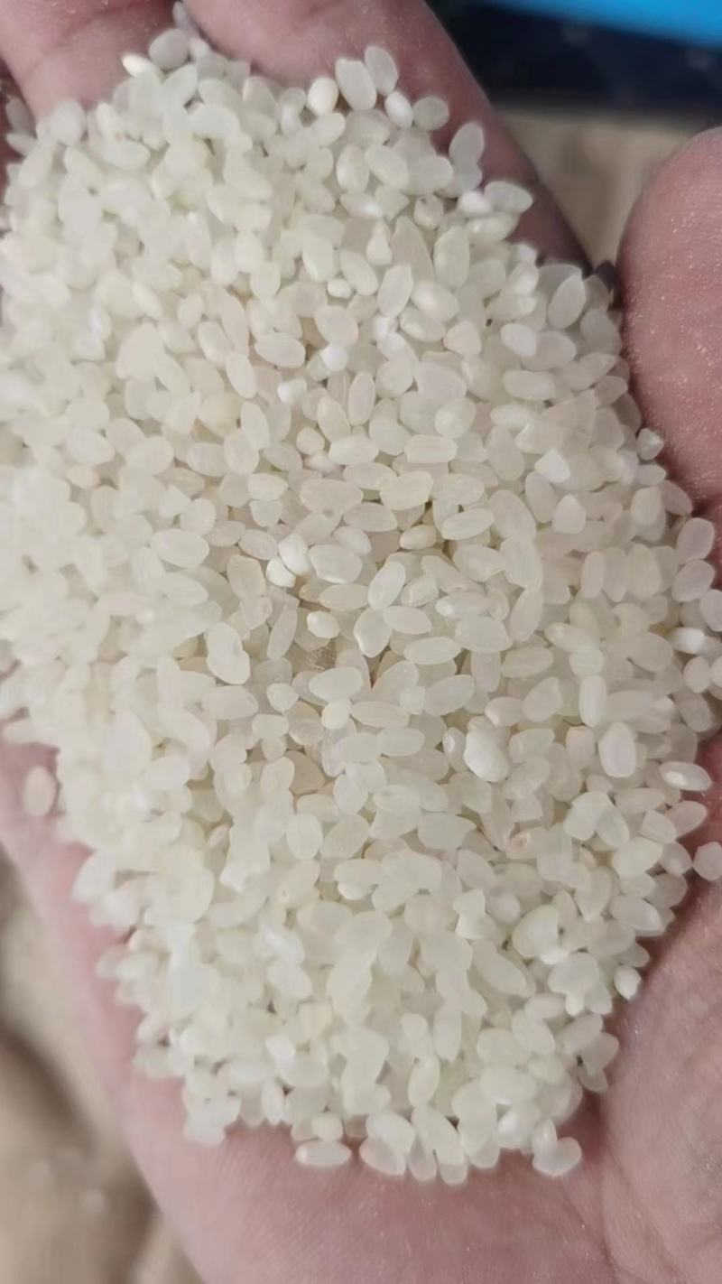 陈米欢迎来电咨询