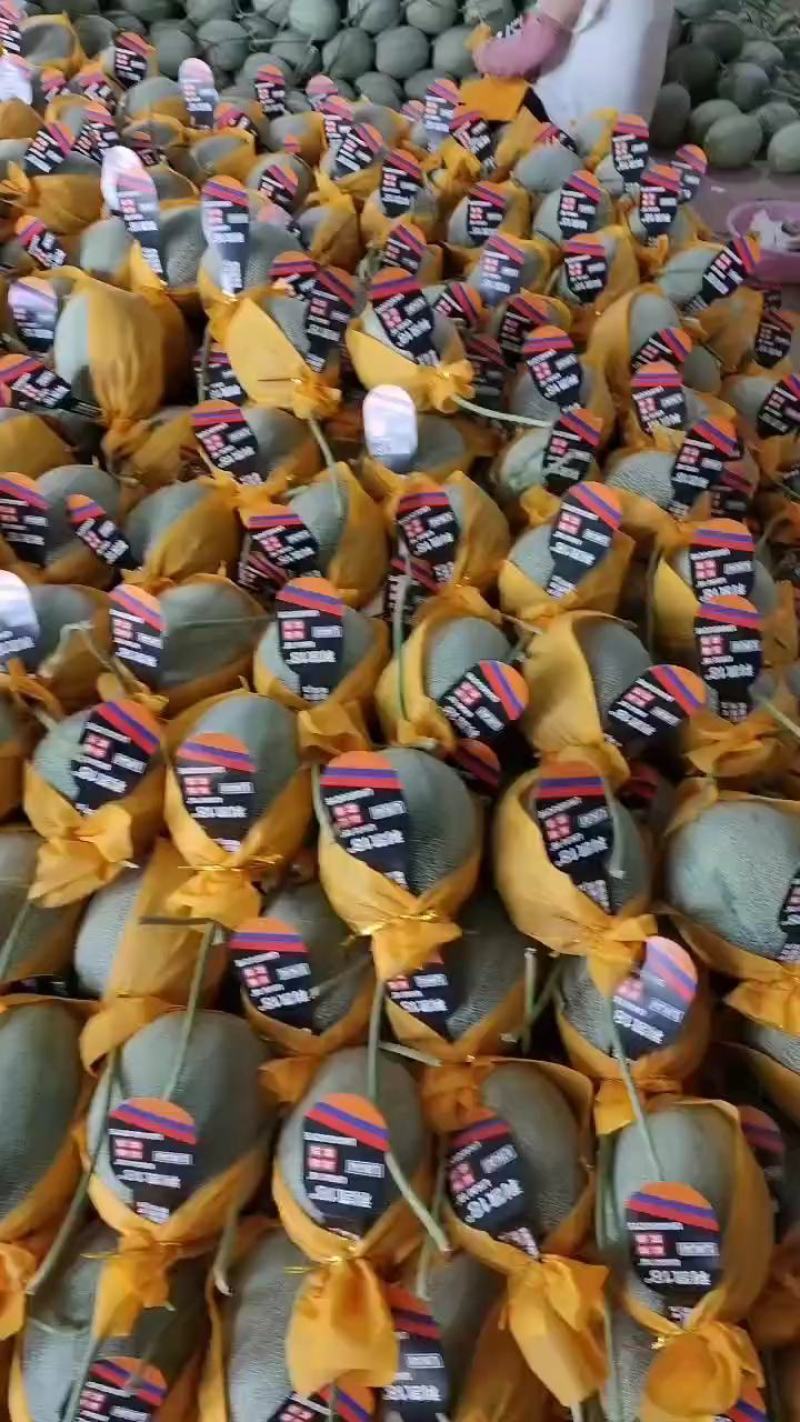 网纹，美华，网五，啊鲁斯等大量现货，对接电商团购批发商