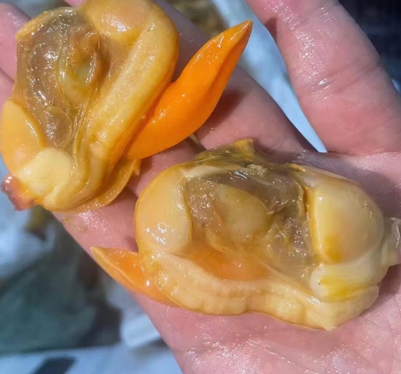 蛤蜊肉文蛤贝类蚬子肉花甲肉嘎啦肉海鲜批发贝类文贝肉大颗粒