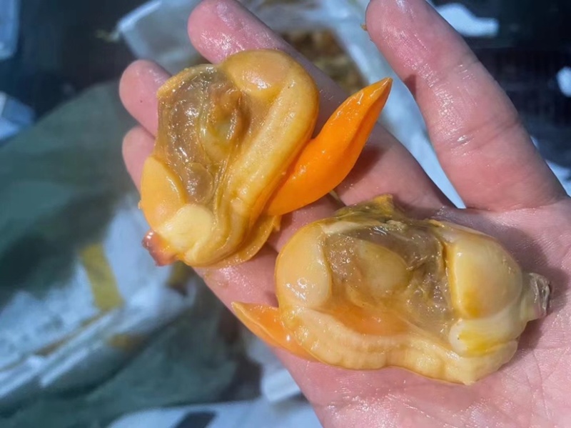 蛤蜊肉文蛤贝类蚬子肉花甲肉嘎啦肉海鲜批发贝类文贝肉大颗粒