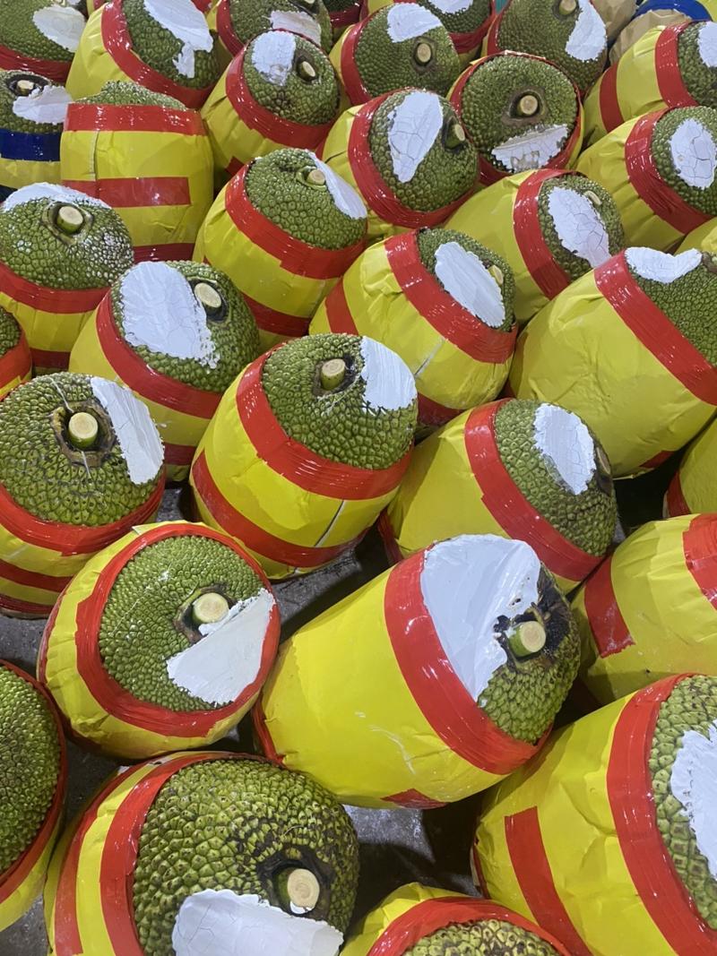 红肉菠萝蜜泰国八号果地直发供应批发市场商超优选等