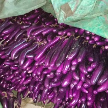 云南建水精品大量上市有需要的老板联系我量大从优