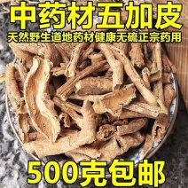 五加皮野生无硫中药材正宗五加皮滋补泡酒地骨皮干货