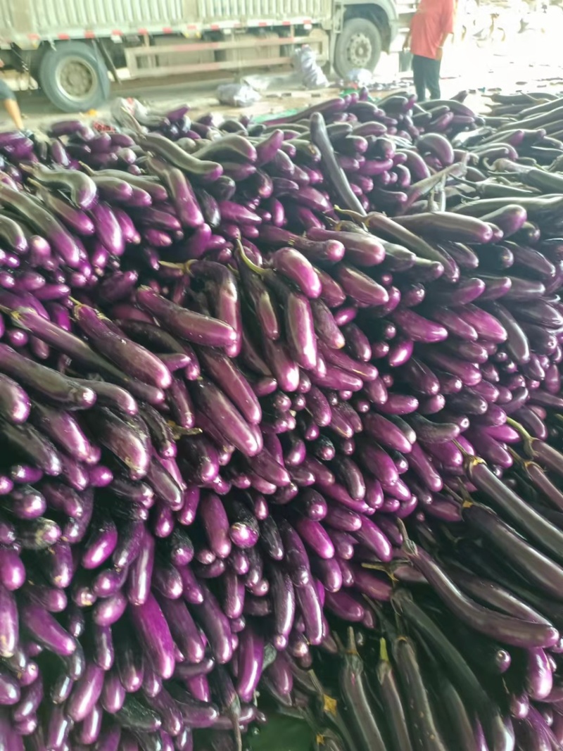 云南建水精品大量上市有需要的老板联系我量大从优