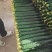 【推荐】紫光圆茄，产地直供，货量充足，诚信经营
