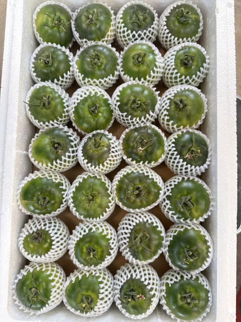 草莓西红柿，铁皮西红柿，碱地柿子，欢迎老板下单
