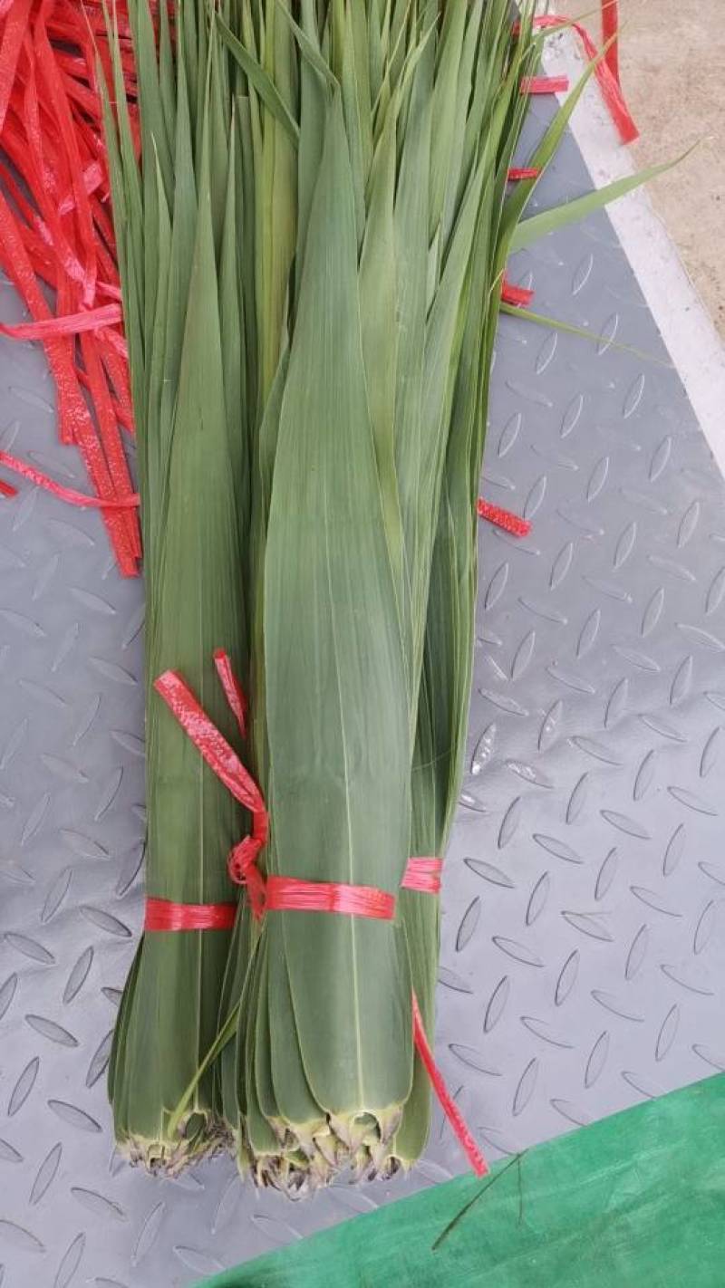鲜粽叶接单中