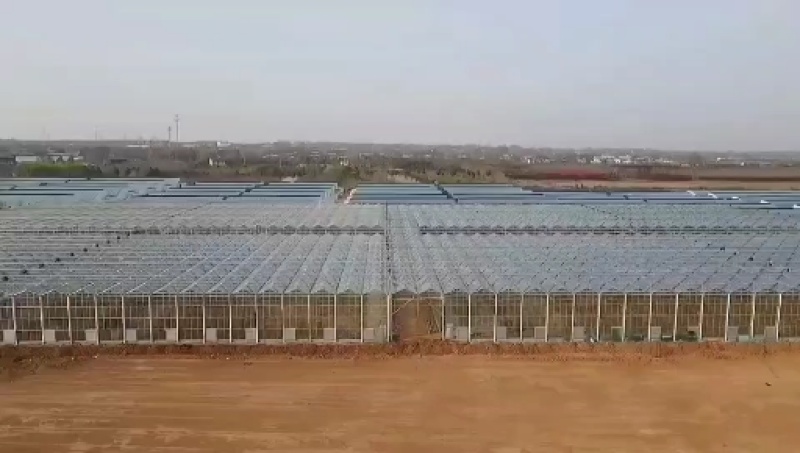 山东大棚智能温室大棚成套大棚厂家直发可提供技术指导