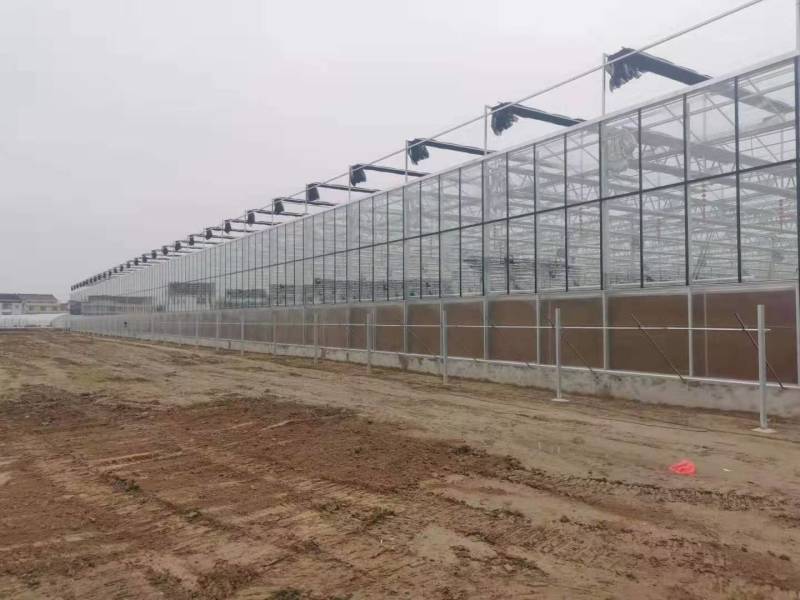 山东大棚智能温室大棚成套大棚厂家直发可提供技术指导