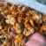 蛤蜊肉文蛤蜊肉鲜冻蛤蜊肉海鲜水产批发零售