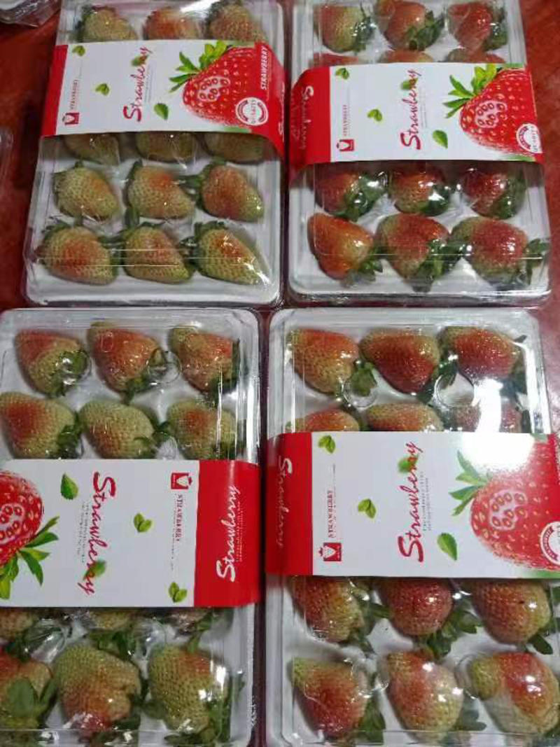 云南草莓，基地直供夏季草莓大量上市货量充足欢迎购