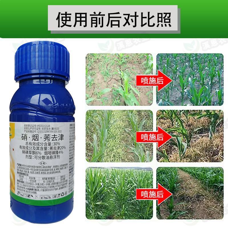 懒汗壬高含量硝烟莠去津玉米田苗后除草死草烂根禾阔双杀批发