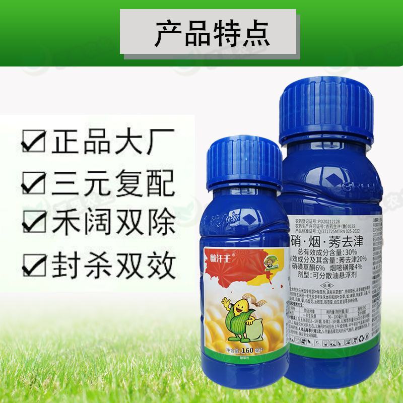 懒汗壬高含量硝烟莠去津玉米田苗后除草死草烂根禾阔双杀批发