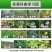 懒汗壬高含量硝烟莠去津玉米田苗后除草死草烂根禾阔双杀批发