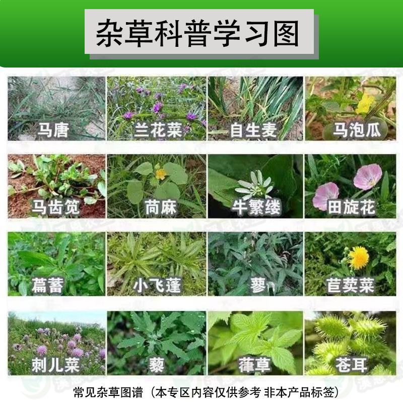 懒汗壬高含量硝烟莠去津玉米田苗后除草死草烂根禾阔双杀批发