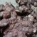 野生白肉土茯苓