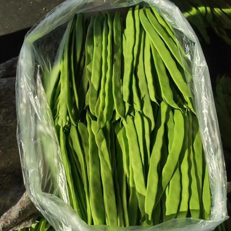 山东聊城莘县万亩蔬菜基地，扁豆大量有货，对接商超市场批发