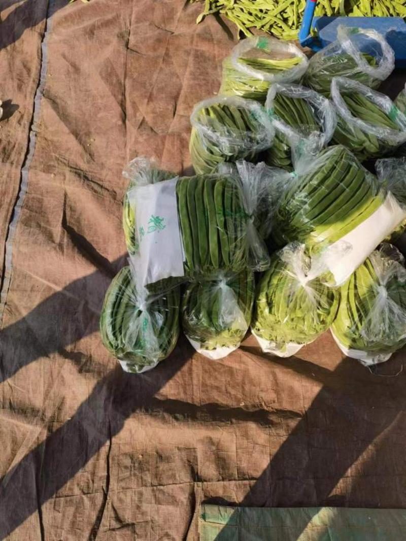 山东聊城莘县万亩蔬菜基地，扁豆大量有货，对接商超市场批发