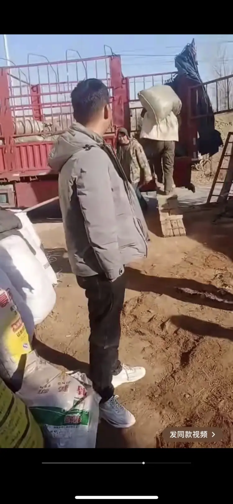 基地直供现挖现发优质丹参苗，量大从优需要的老板一亩田联系