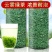 （包邮）绿茶2024年新茶500g高山云雾散装香茶袋装