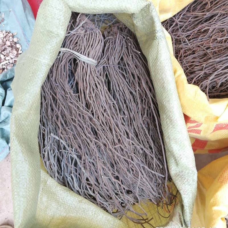 广东本土（粉威灵仙干品）