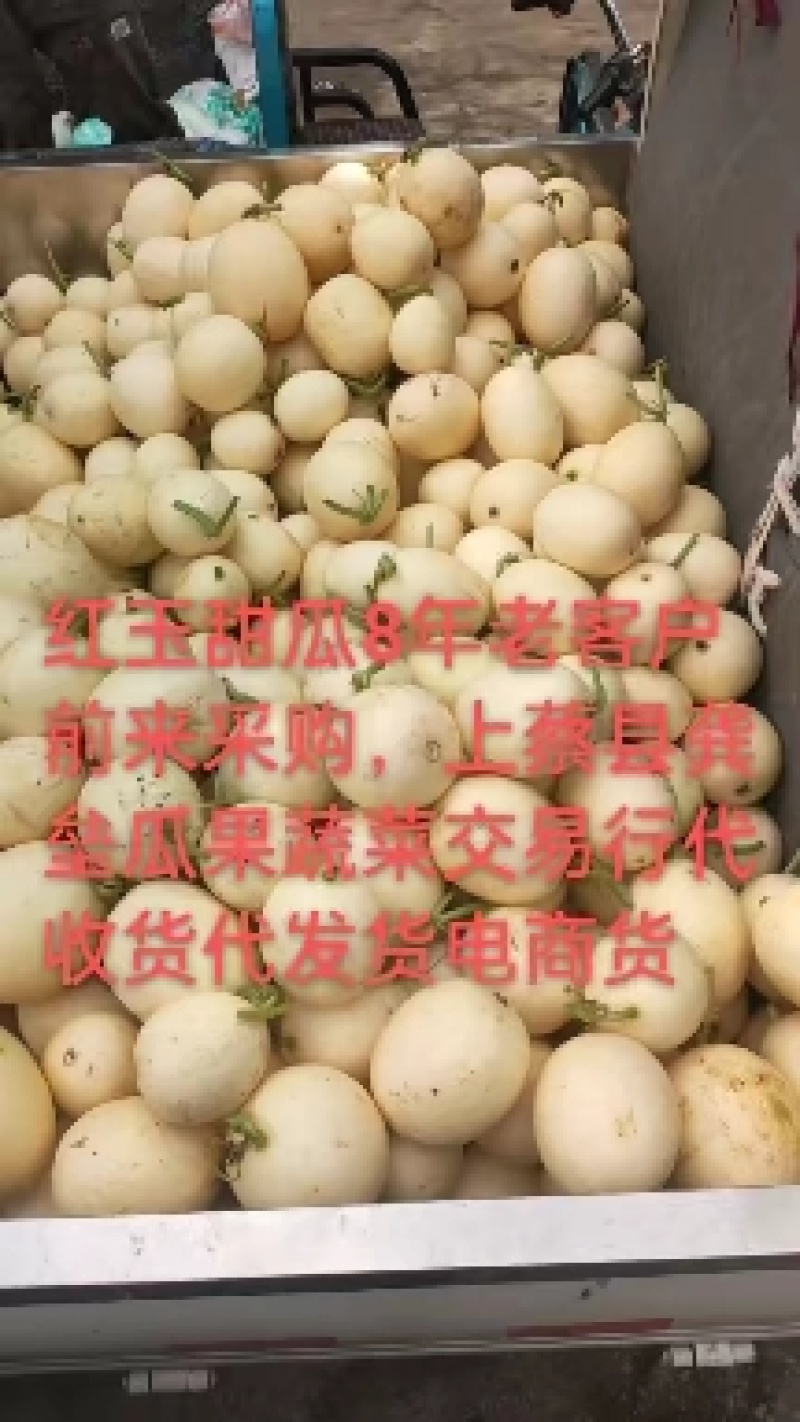 河南甜红玉2号.东方蜜2号代发电商，代发货万亩基地龚垒