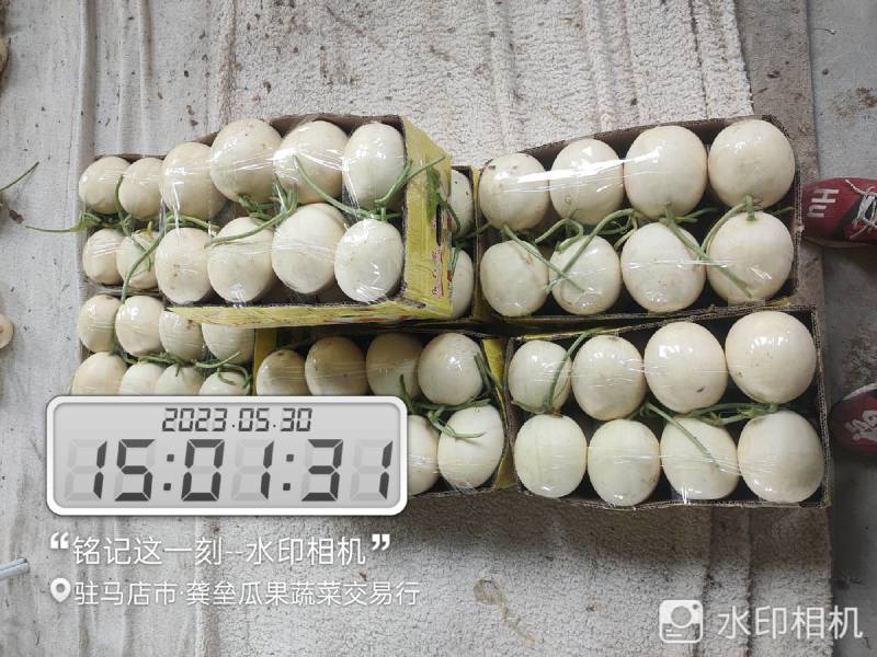 河南甜红玉2号.东方蜜2号代发电商，代发货万亩基地龚垒