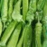 邯郸蔬菜