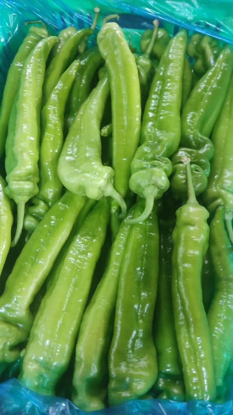 邯郸蔬菜