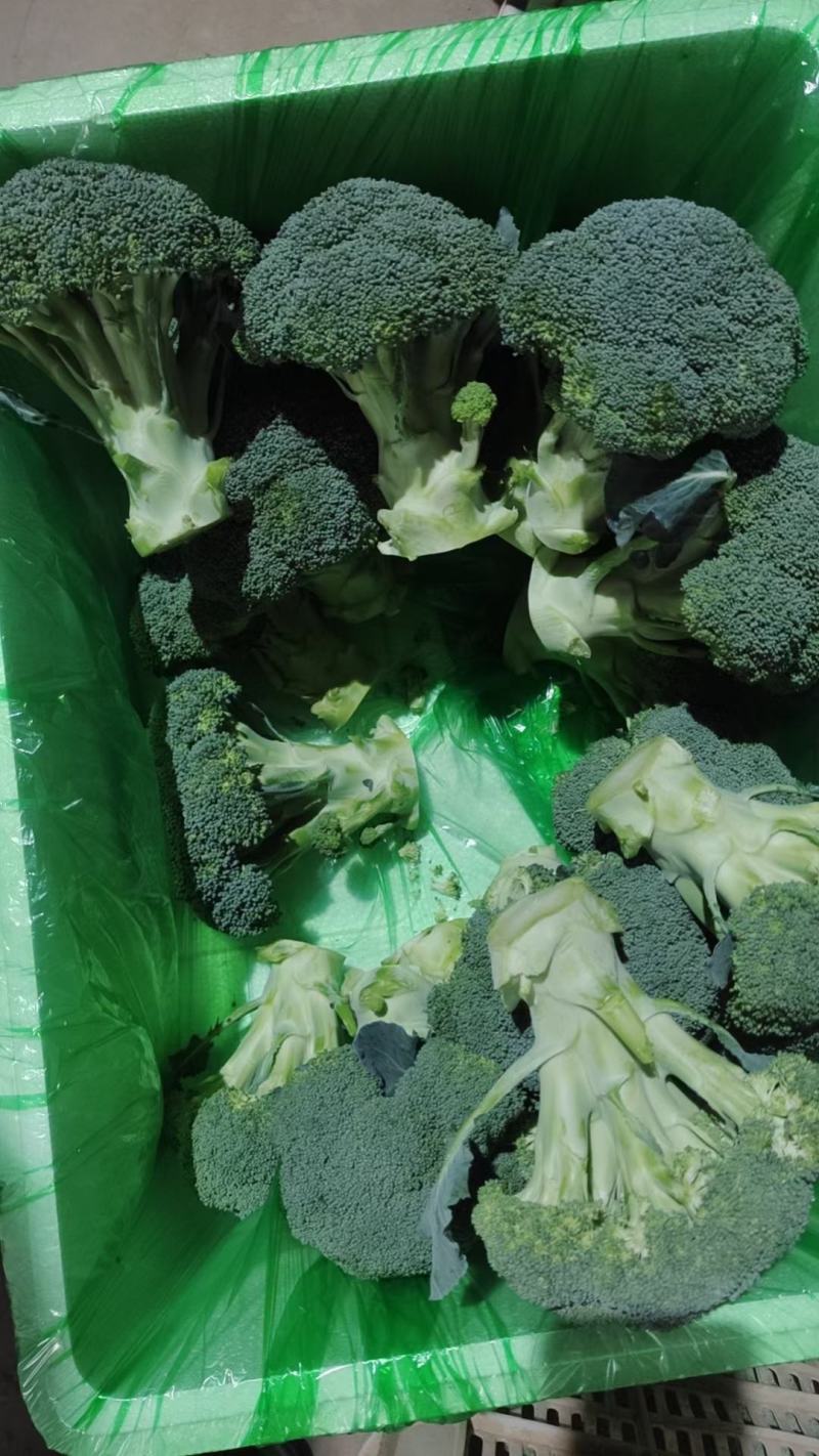 邯郸蔬菜