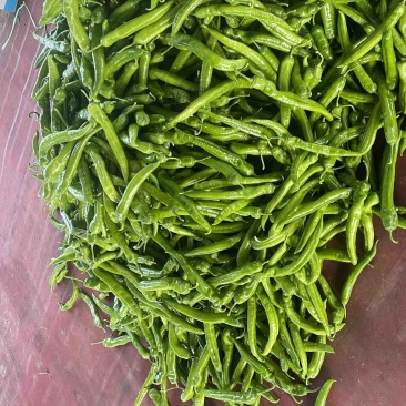 精品尖椒