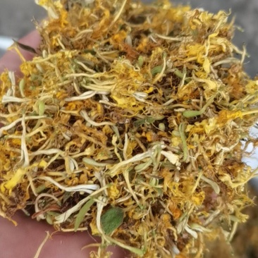 贵州高山金银花茶，浓浓的清香味，味道纯正，清热解火