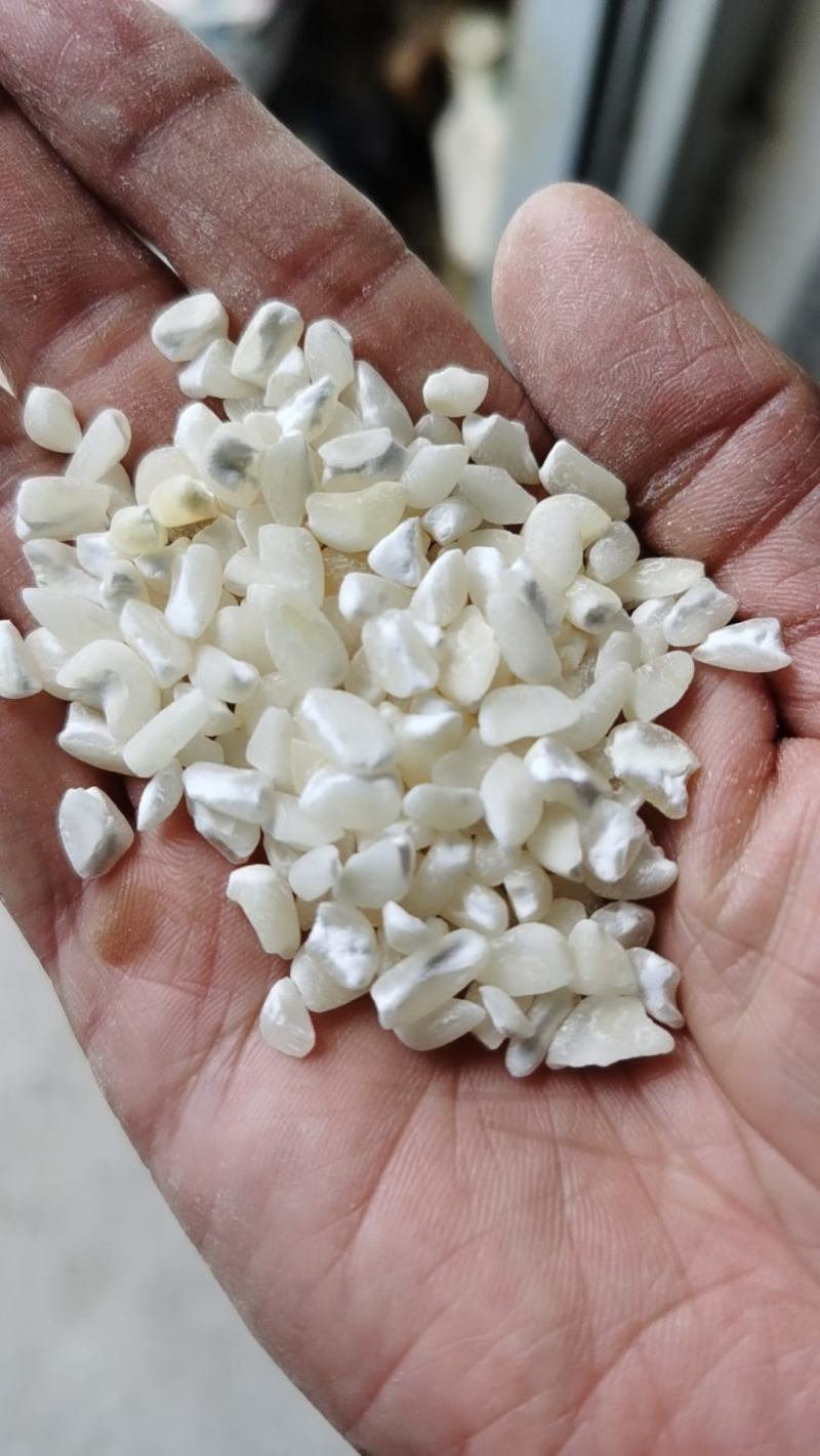 白色普通玉米碴，渣，糁，玉米面，白玉米面，量大价优