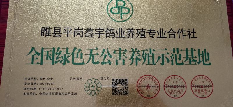 老鸽，乳鸽，鸽蛋