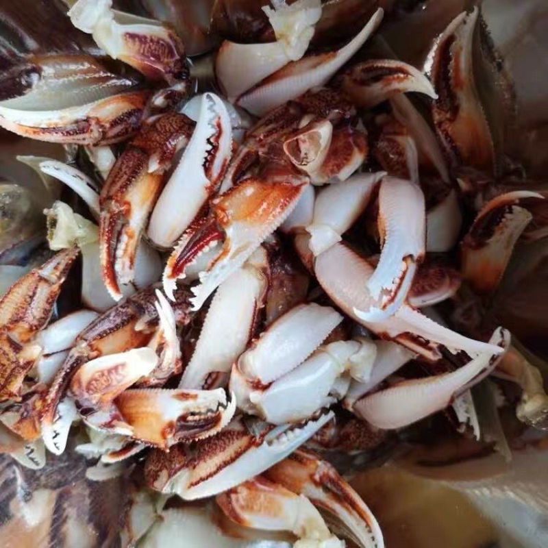 冷冻沙蟹嵌醉蟹捞汁小海鲜