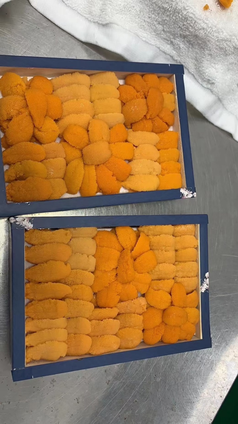 【优质货源】马粪海胆摆盘，木盒海胆。优质原料加工