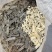 鳖甲下甲醋炙鳖甲