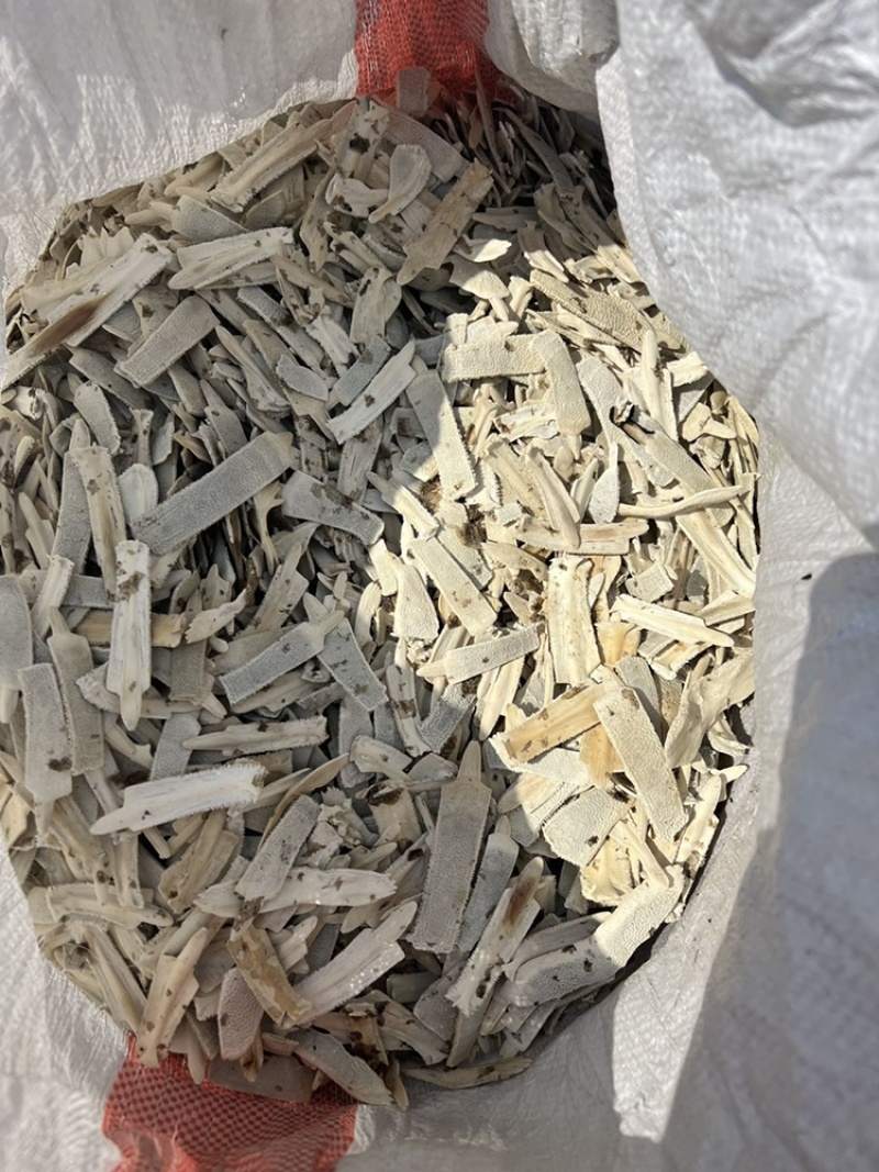 鳖甲下甲醋炙鳖甲