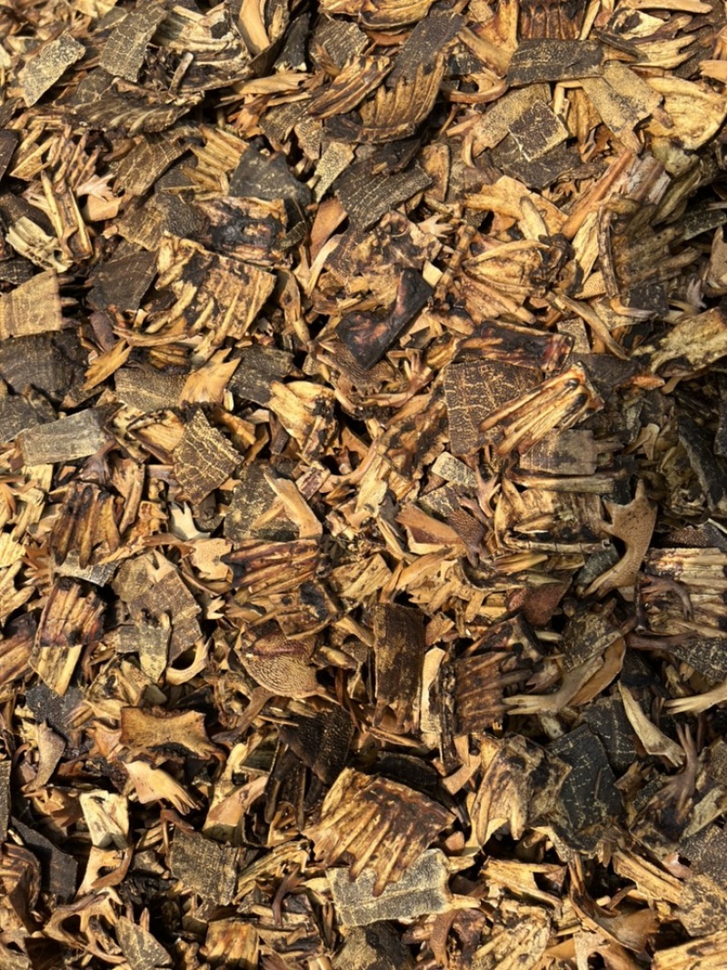 鳖甲下甲醋炙鳖甲