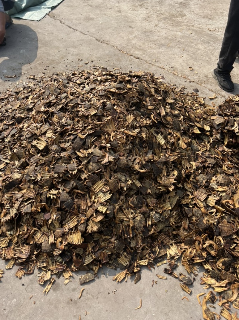 鳖甲下甲醋炙鳖甲