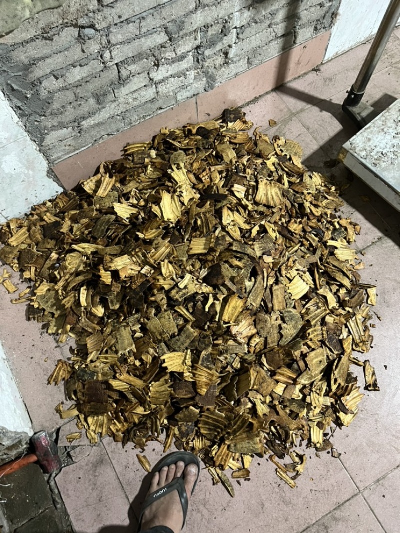 鳖甲下甲醋炙鳖甲
