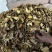鳖甲下甲醋炙鳖甲