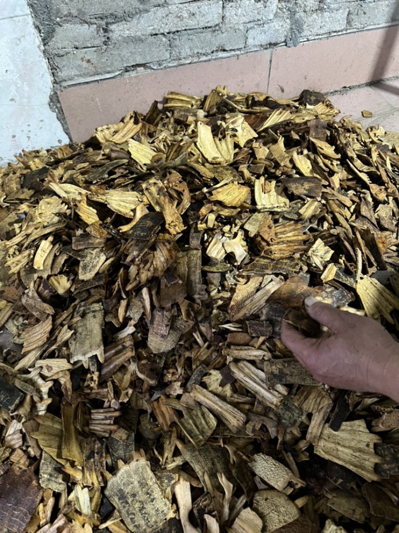 鳖甲下甲醋炙鳖甲