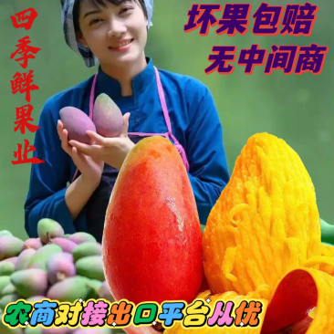 一件代发金煌贵妃台农芒量大从优做电商大型平台5年有余