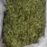 伸筋草干货干净无杂质常年经营各种中药材