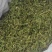 伸筋草干货干净无杂质常年经营各种中药材