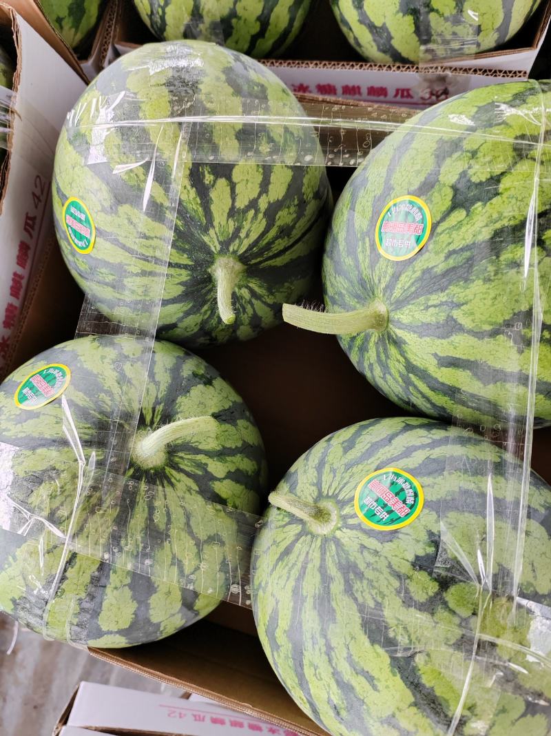 【推荐】湖北万亩大棚无籽，品质好，糖分高，欢迎老板合作
