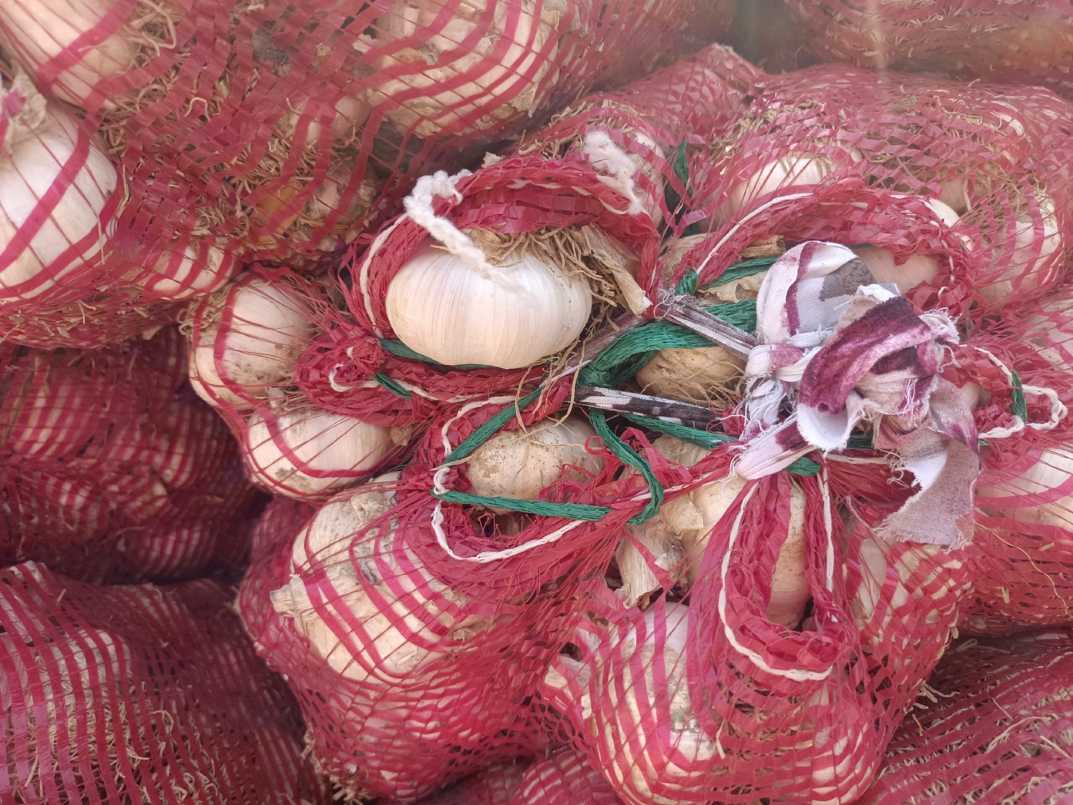 大蒜采收与晾晒过程